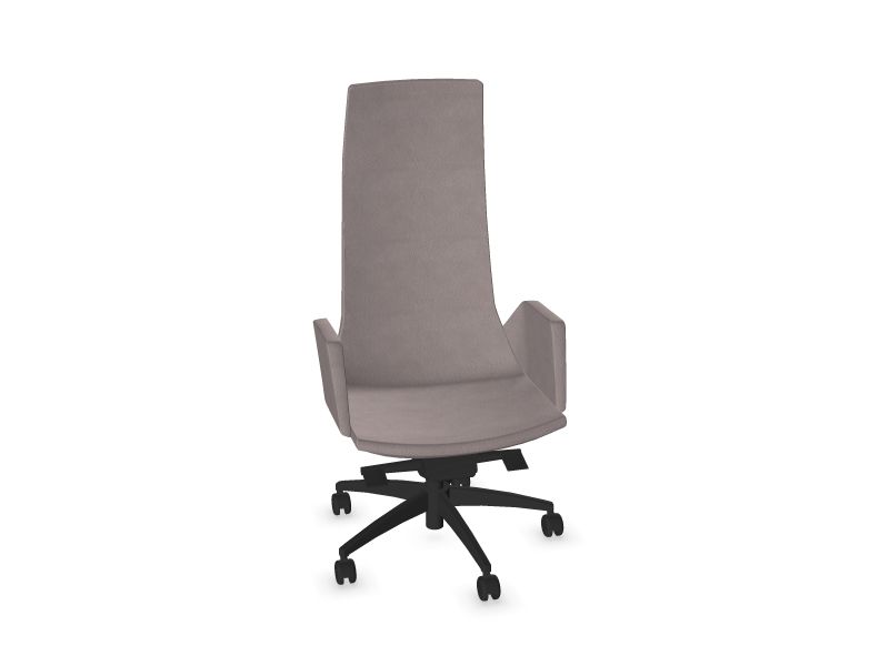 NORTH CAPE Executive, D21 - gaiši pelēks