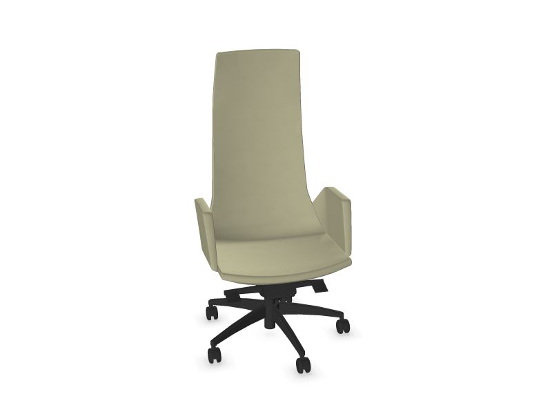 NORTH CAPE Executive, D17 - gaiši brūns