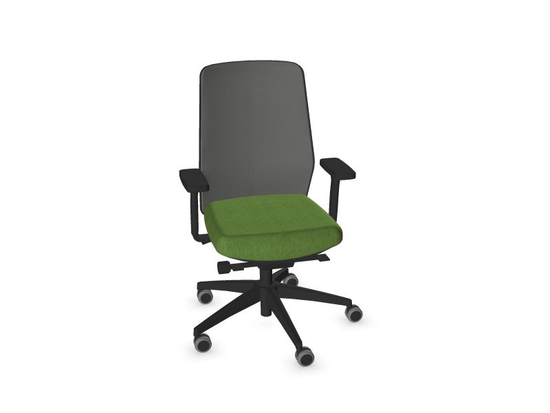 SURF. Frame colour - Black. Star colour - Black. Seat colour - Green. Backrest colour - Metal grey.