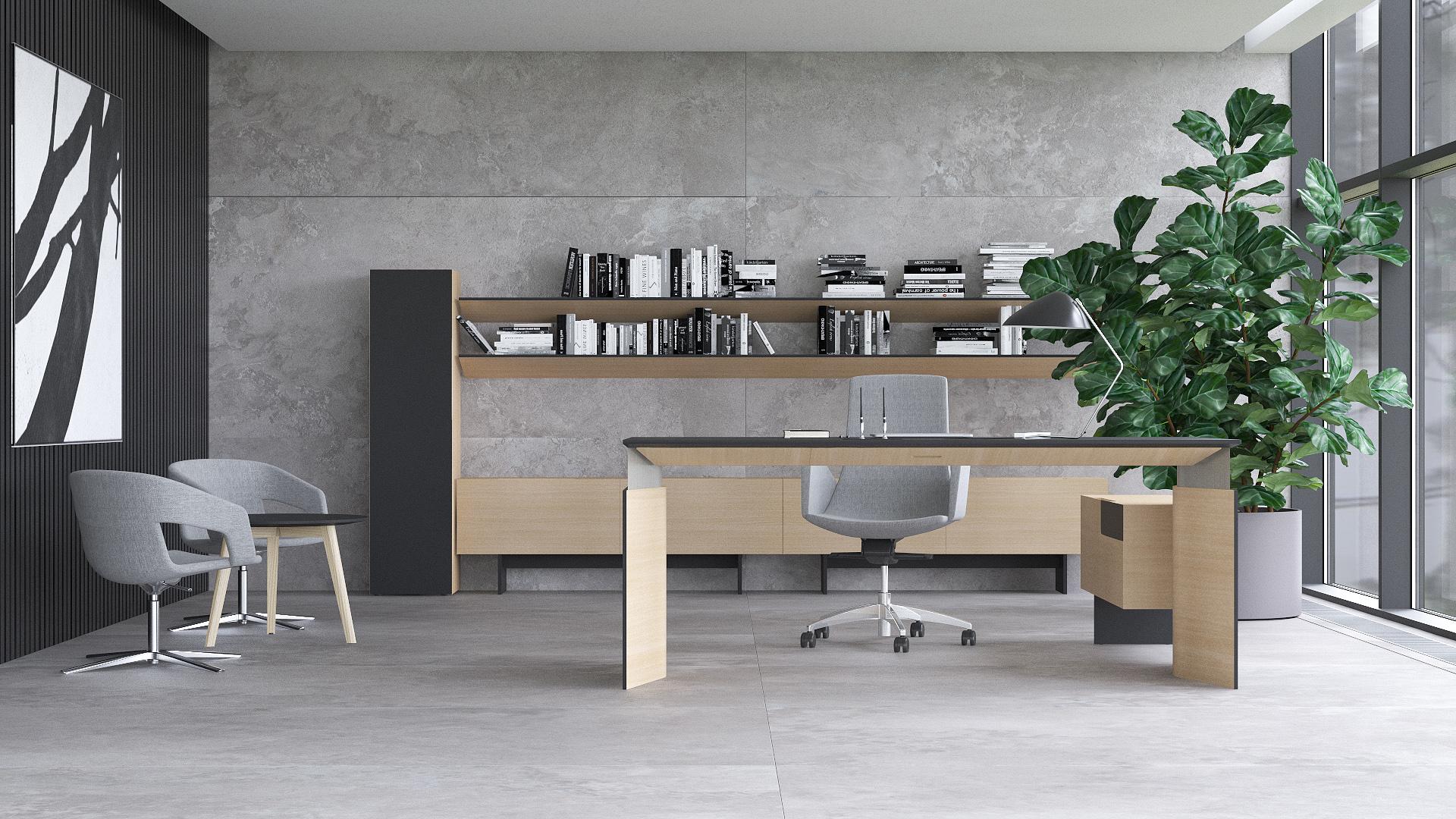 MOVE&LEAD, H16B01 - Black HPL Fenix/Black edge, AA - Oak veneer, 2000x850