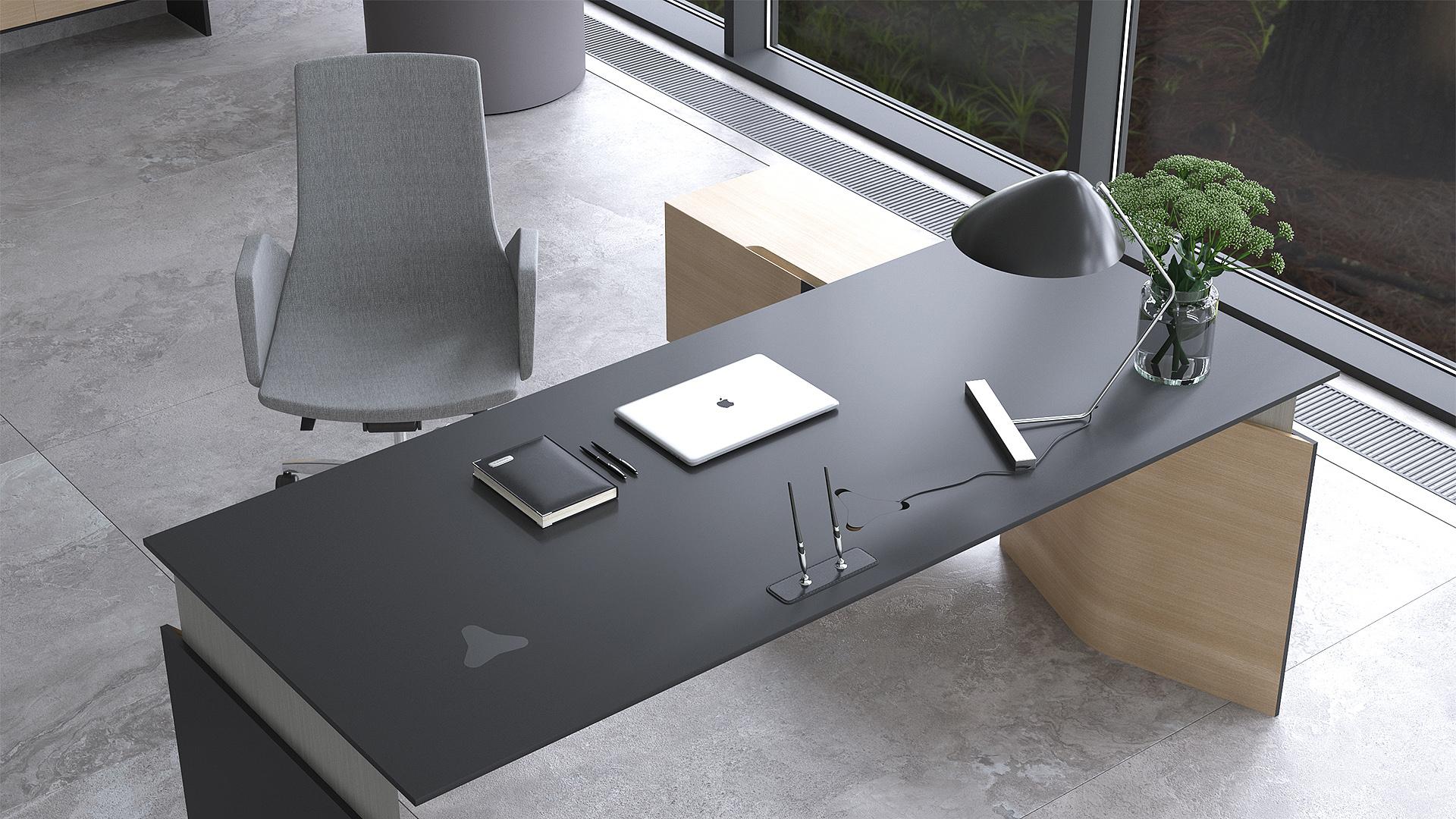 MOVE&LEAD, H16B01 - Black HPL Fenix/Black edge, AA - Oak veneer, 2000x850